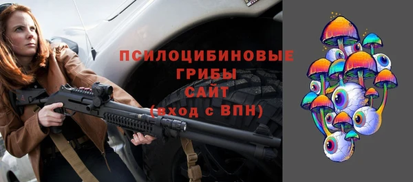 МДПВ Бронницы