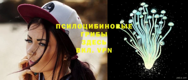 синтетический гашиш Бородино