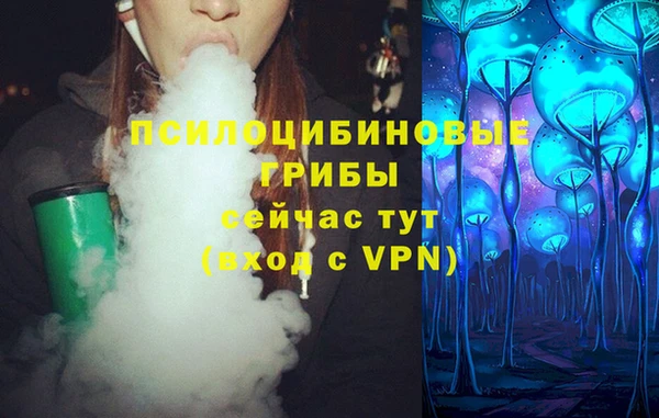 синтетический гашиш Бородино