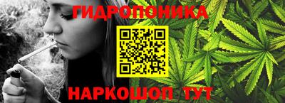 прущие крисы Бийск