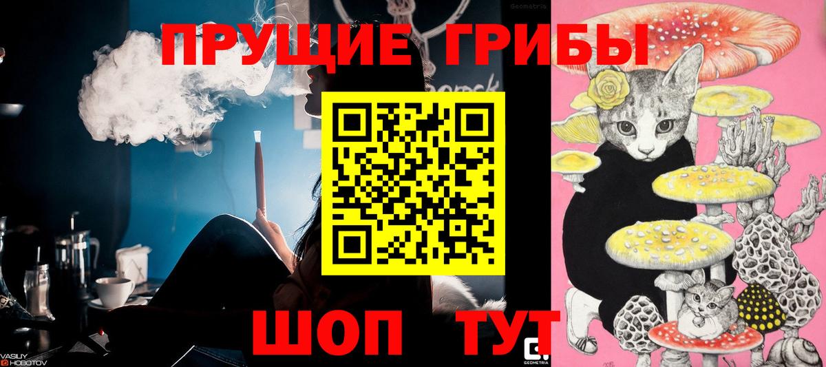 Галлюциногенные грибы Cubensis  Вход с VPN  Бугуруслан 